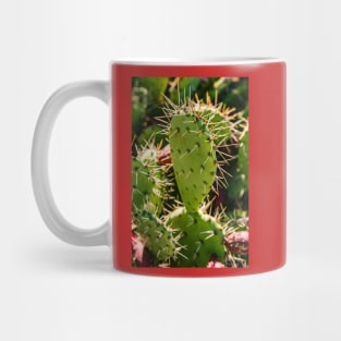 Opuntia Mug